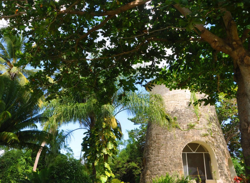 On Location: Pollards Mill | Weddings by Malissa | Barbados Weddings